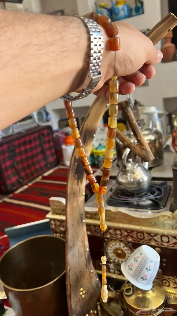 من النوادر سبحه من ظهر السلحفاه (ترسه) 11