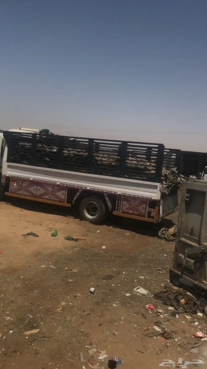 دينا للمشاوير 1