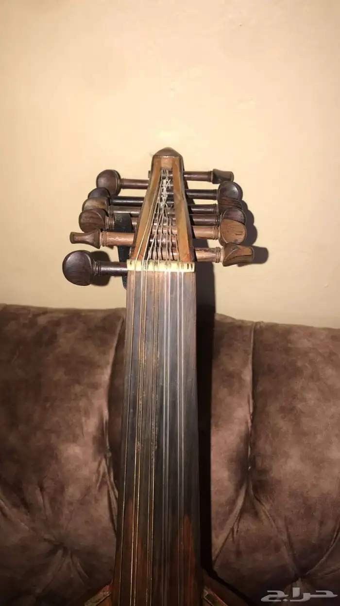 عود للبيع. 3