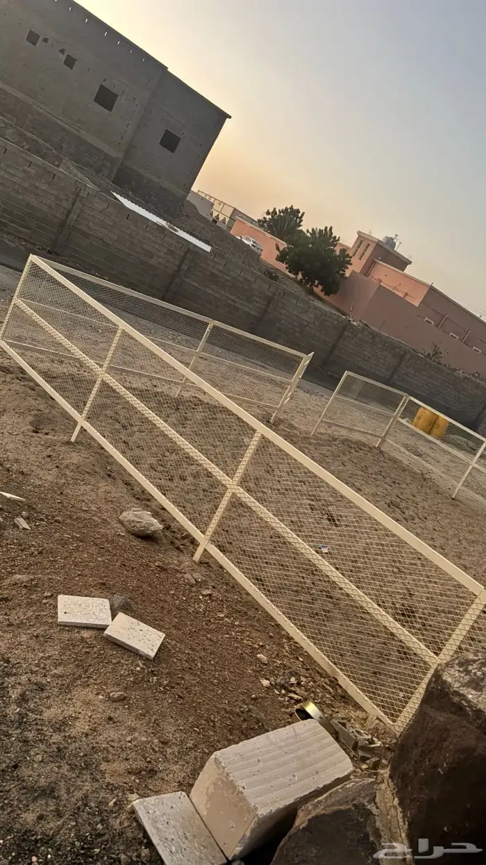 بادوك خيل للبيع 0