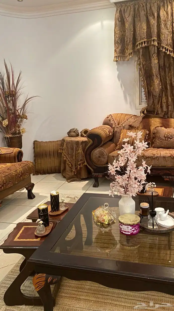 كنب محمود سعيد 2