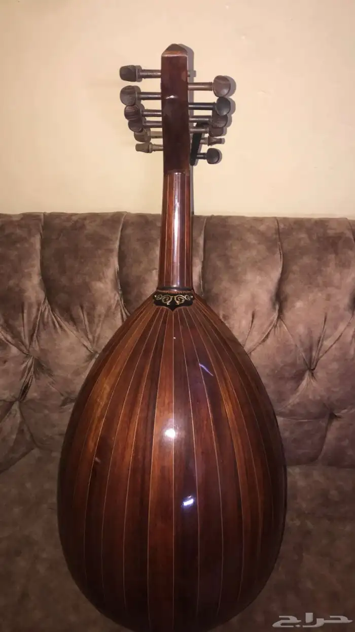 عود للبيع. 4