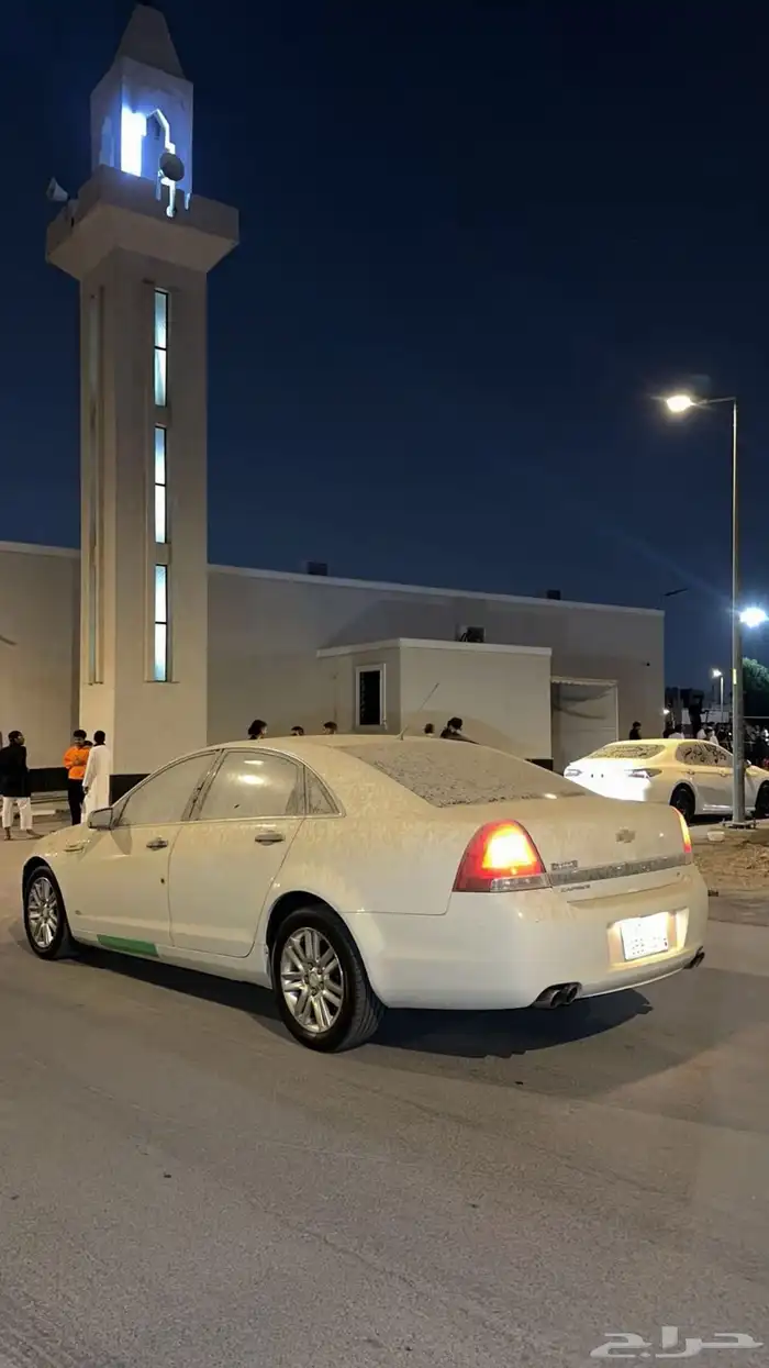 كابرس وكاله 2013 16