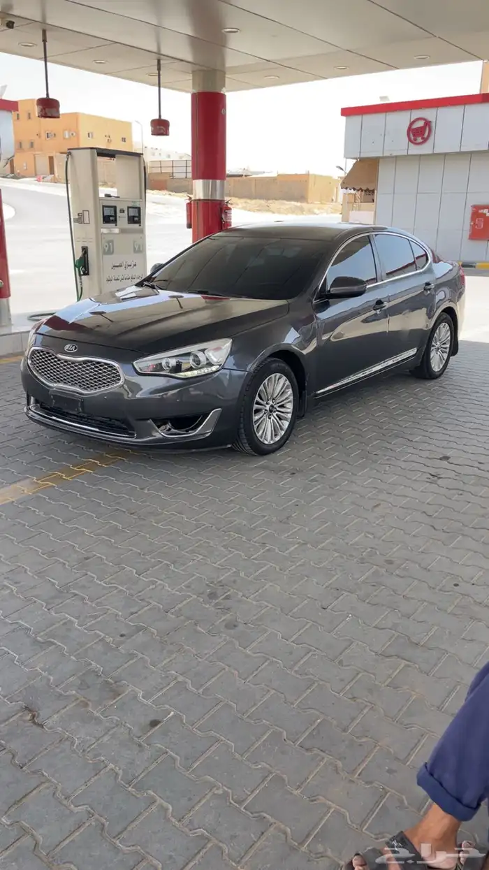 كادينزا 2014 7