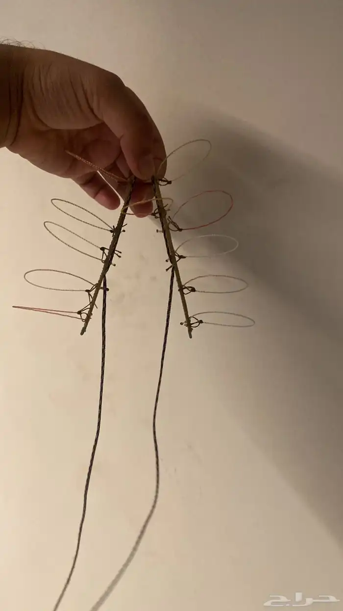 شبوك لصيد الصقور 7