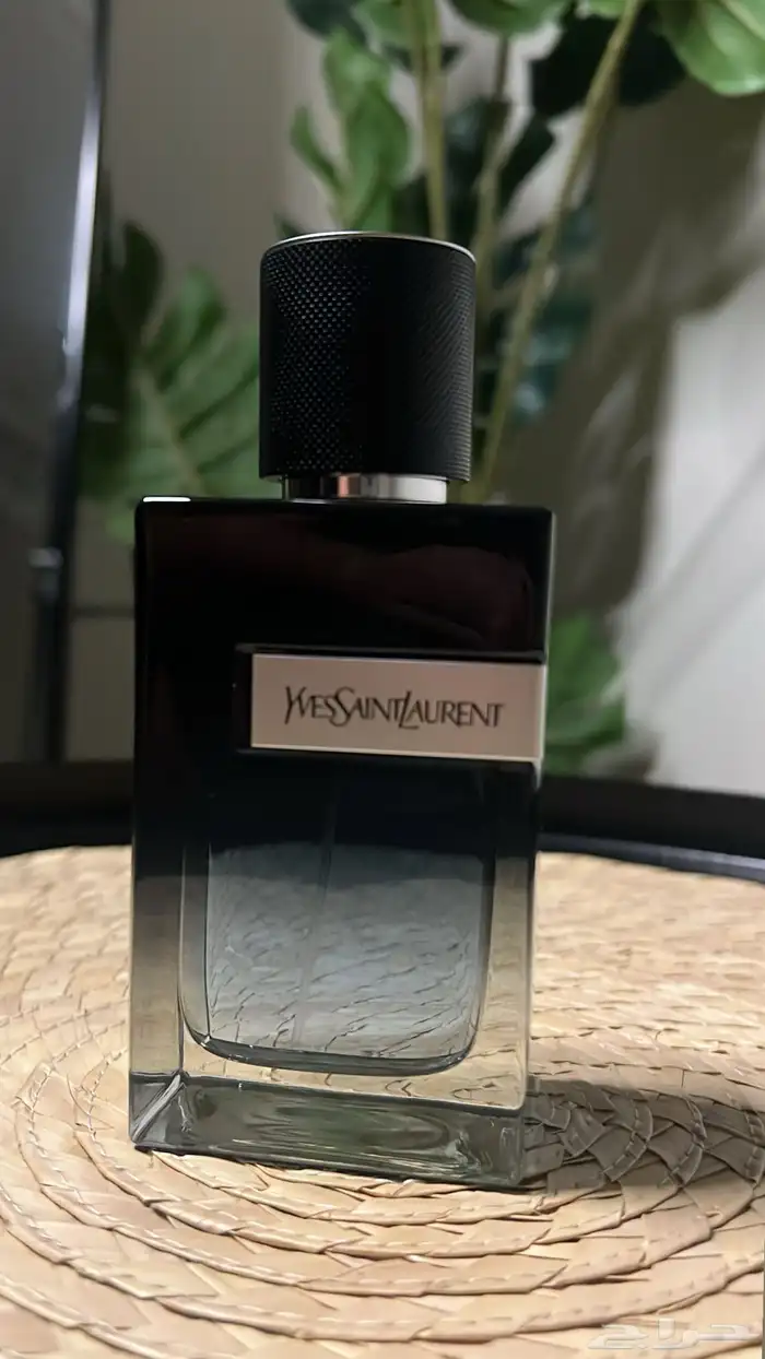 عطور شانيل و سان لوران 2
