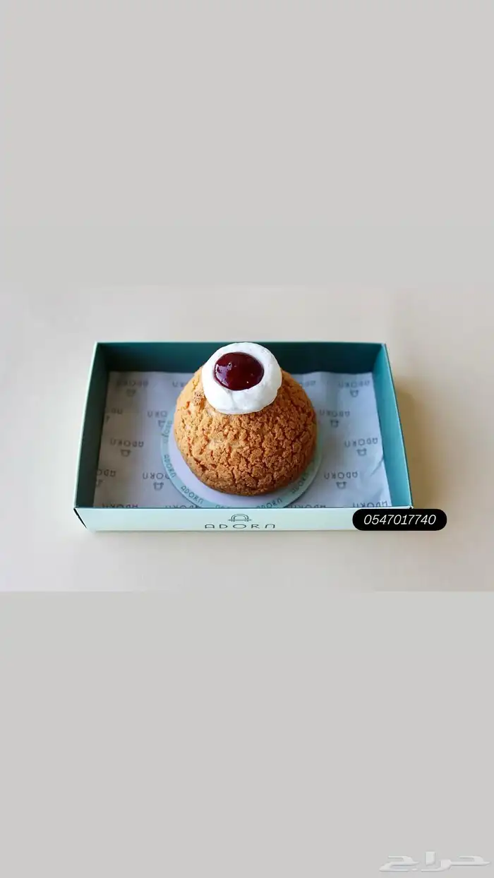 مصورة فوتوغرافية 2