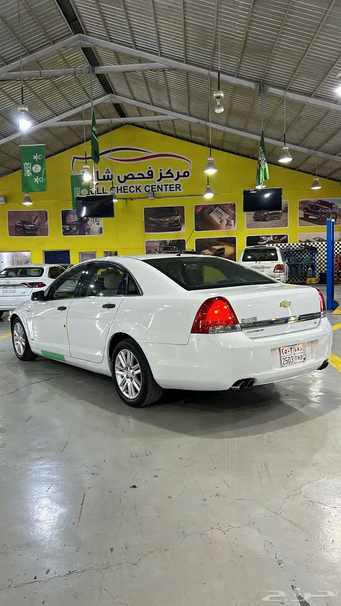 كابرس وكاله 2013 17