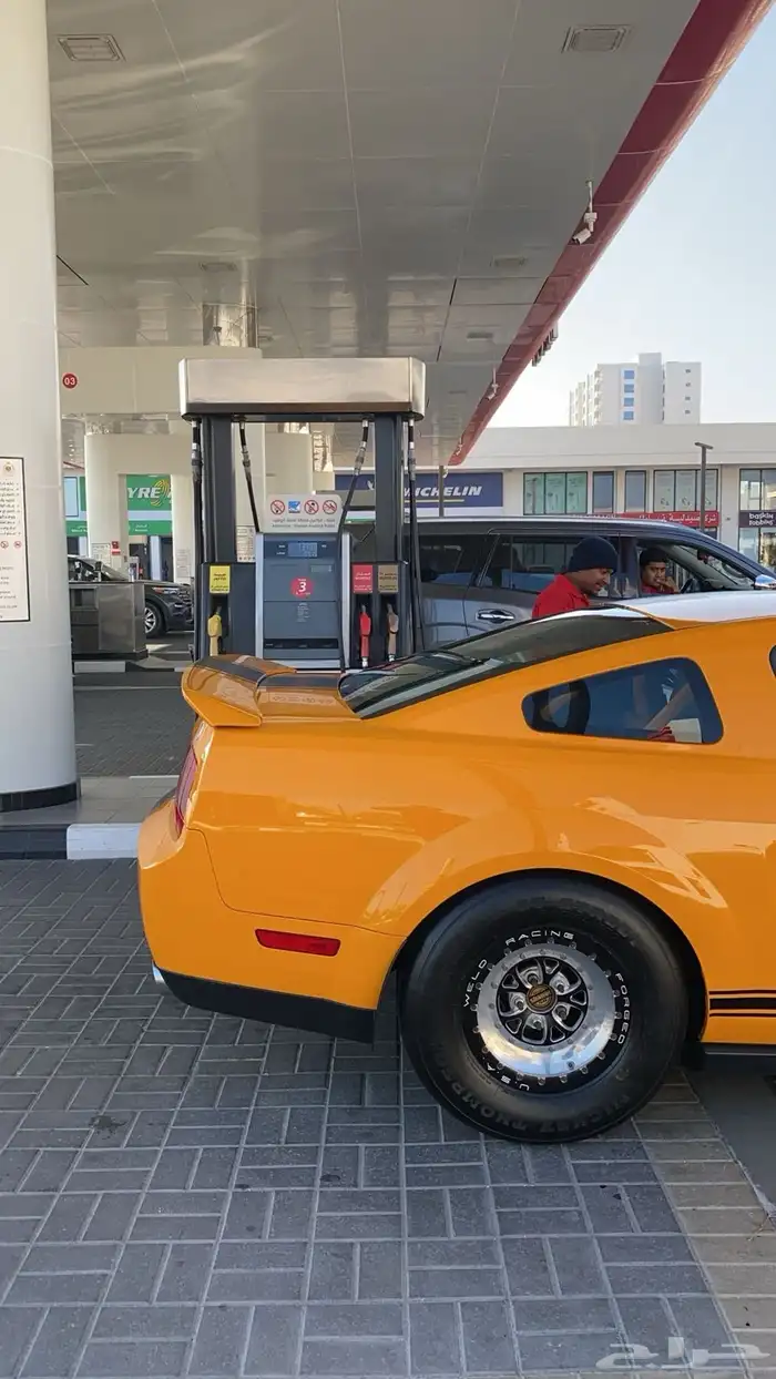 موستنج موستنق شلبي GT500 2009 2