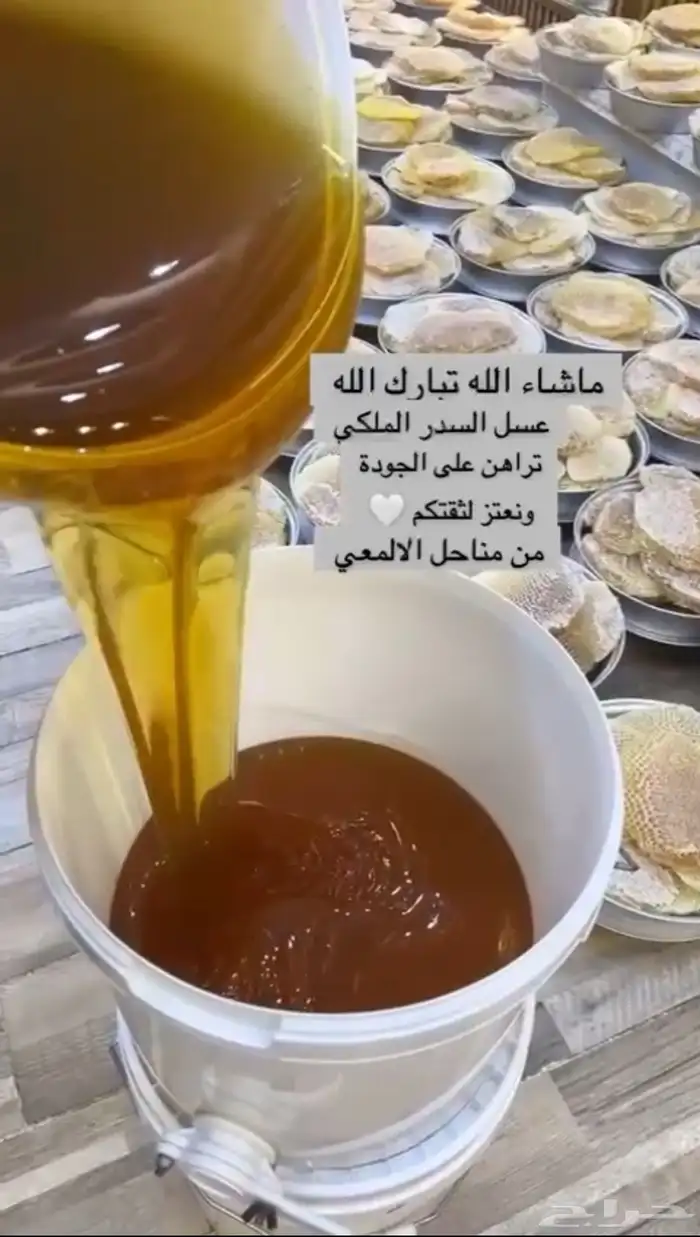 عسل الجنوب محايل عسير أفضل عسل 17