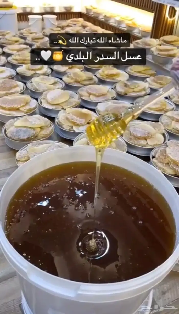 عسل الجنوب محايل عسير أفضل عسل 18