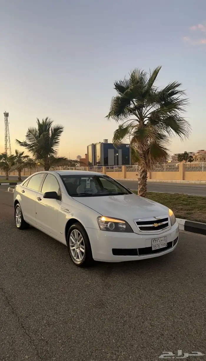 كابرس 2011 0
