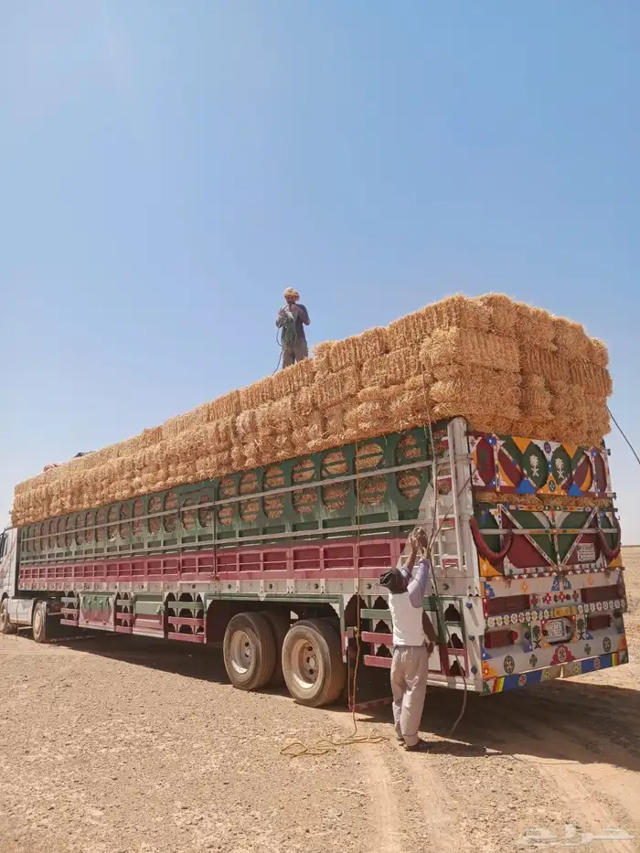 الدفع عند السلام 0