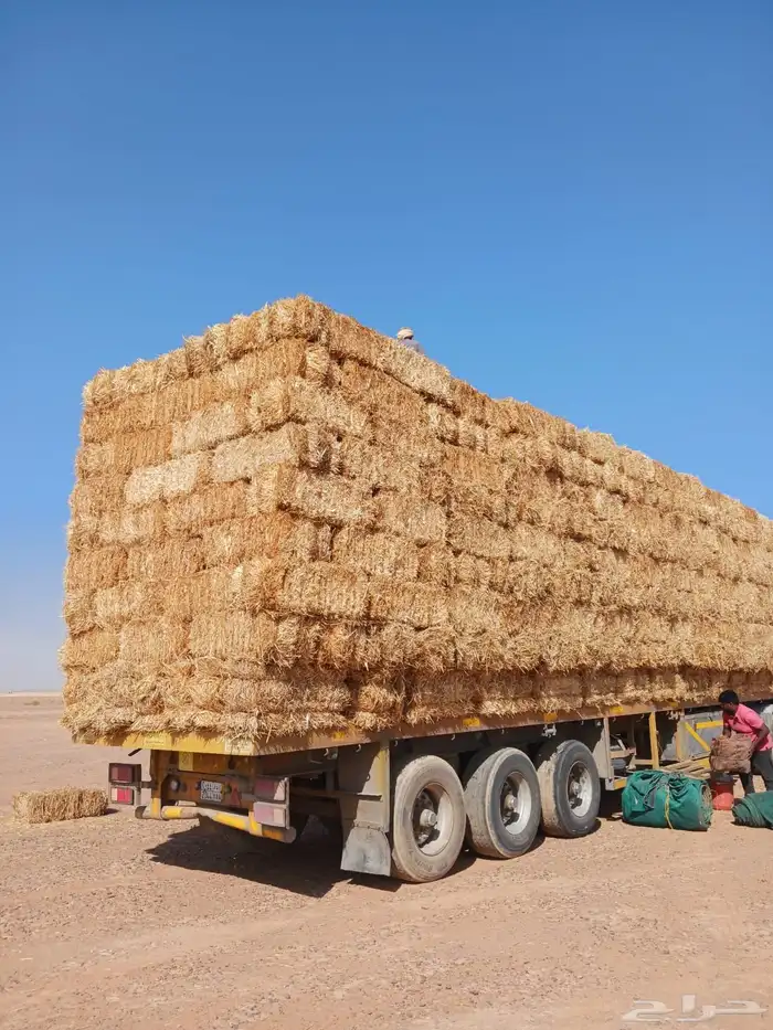 الدفع عند السلام 1