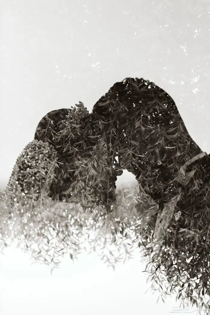 تصوير حفلات وزواجات ومناسبات بأرخص الأسعار وأعلى جودة 13