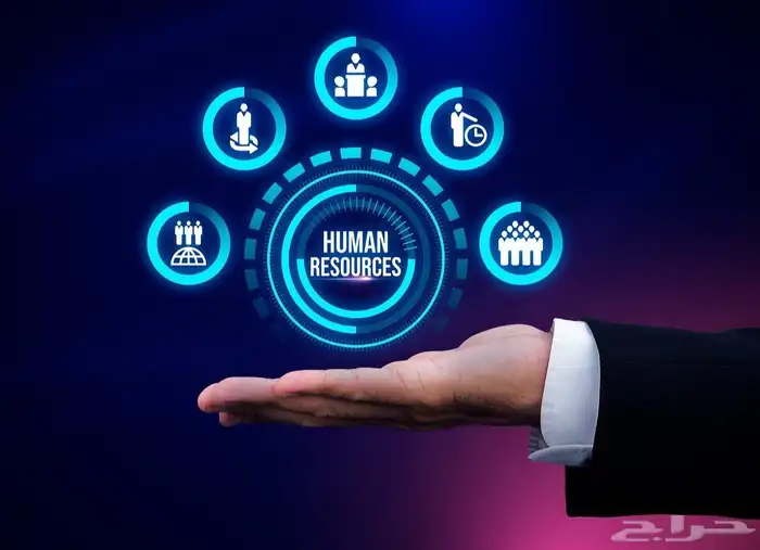 خدمات الموارد البشرية الاحترافية 0