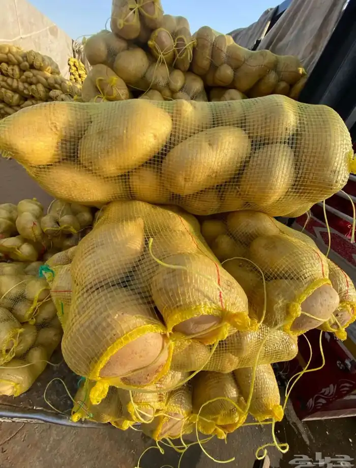 موزع بطاطس 0