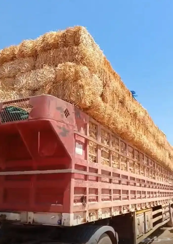 الدفع عند السلام 2