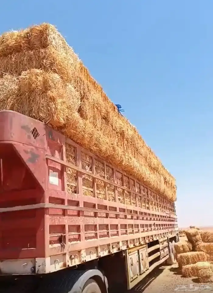 الدفع عند السلام 3