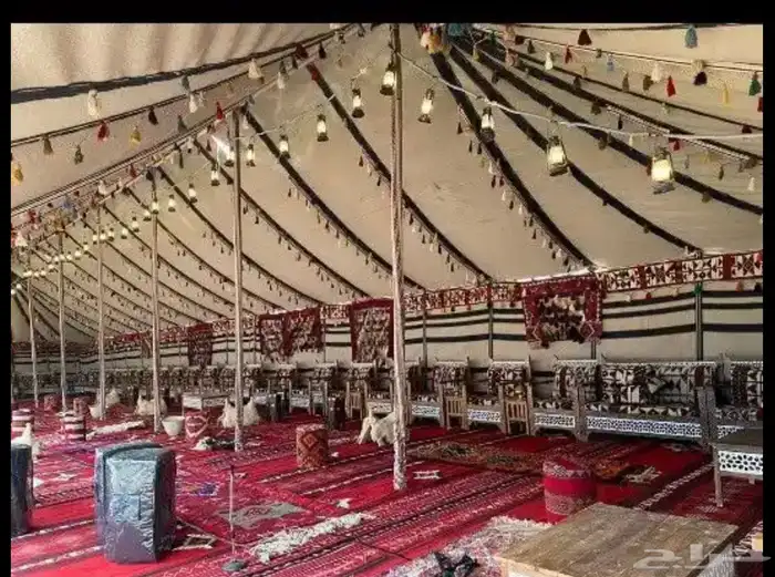 خيام وبيوت شعر 11