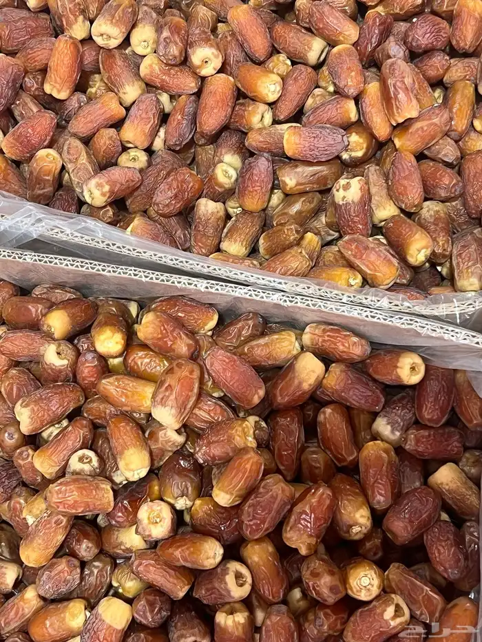 صقعي اليوم وصل حياكم الله 1