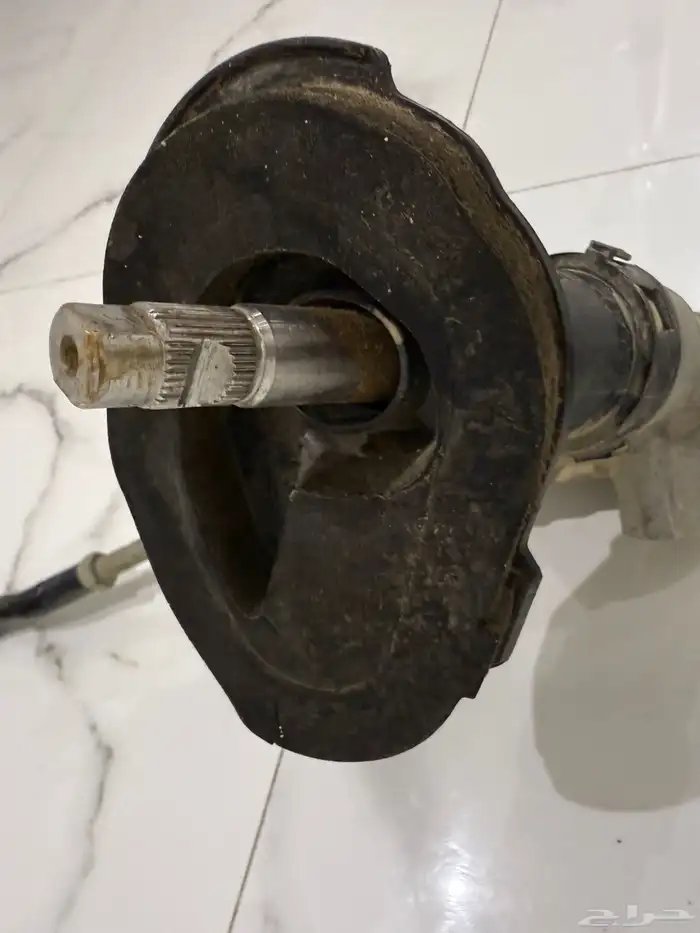 دودة مازدا 1