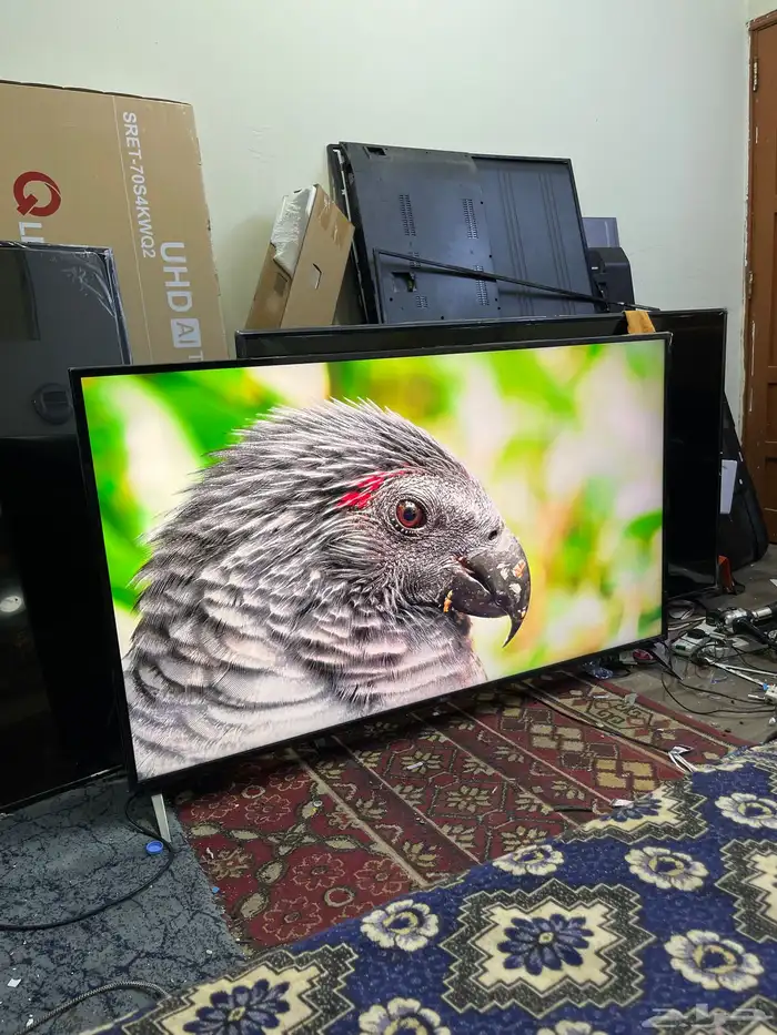 شاشا ال جي 70 بوصة سمارت 4 ك 0