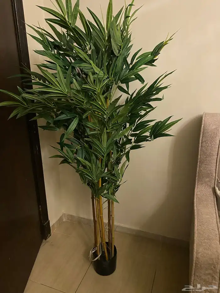 تحف وشلالات 6