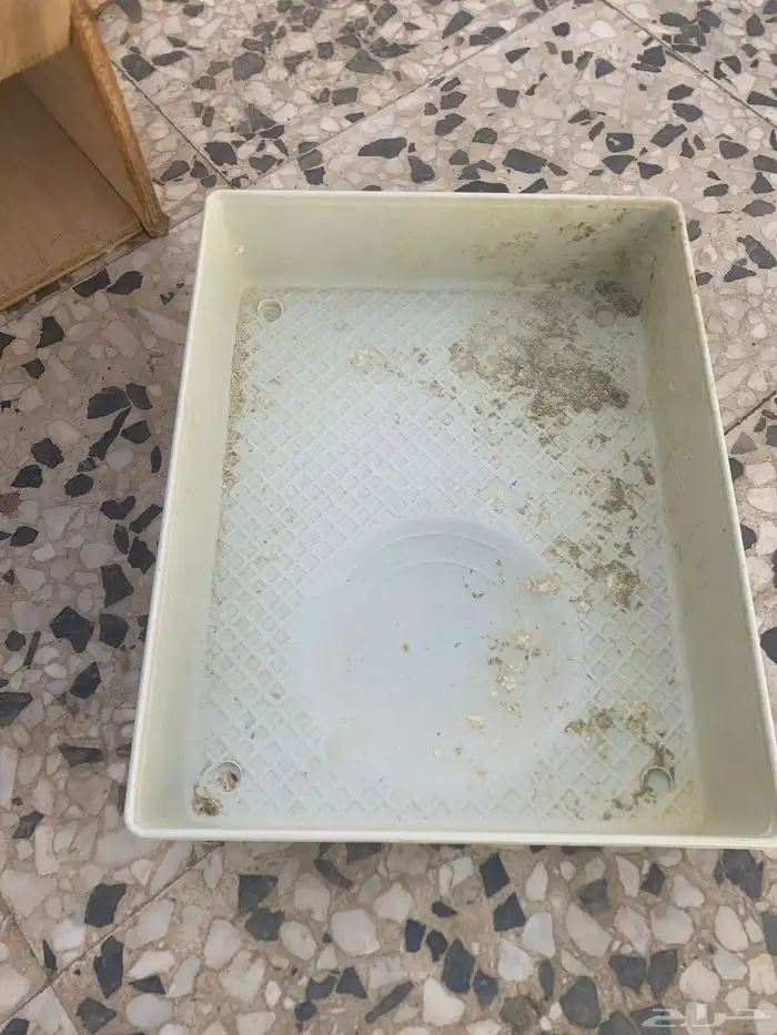 بياضة زوج كنيور وبياضه حقة زوج روز وبياضه حقة كروان 5