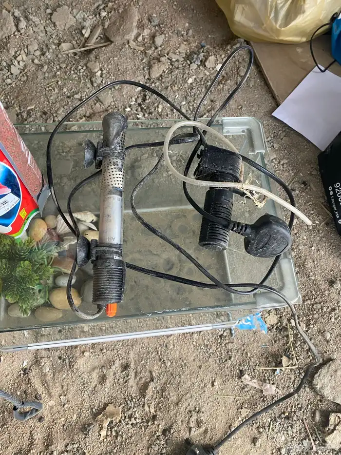 حوض سمك كبير 1