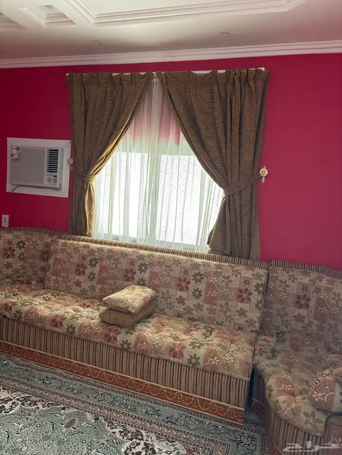 حائل الجامعيين 3
