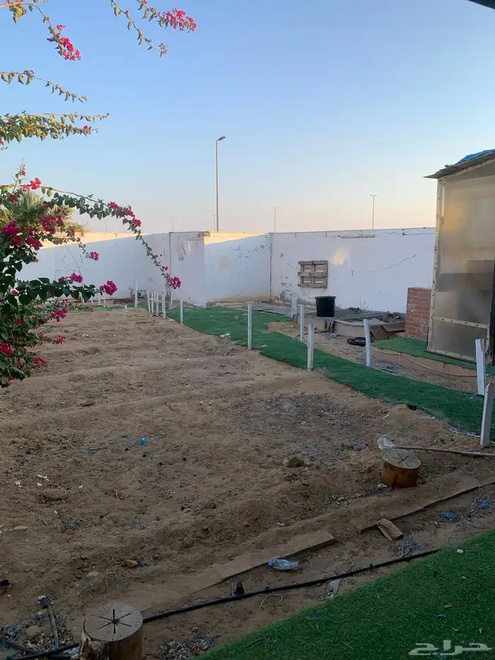 حوش للايجار 2