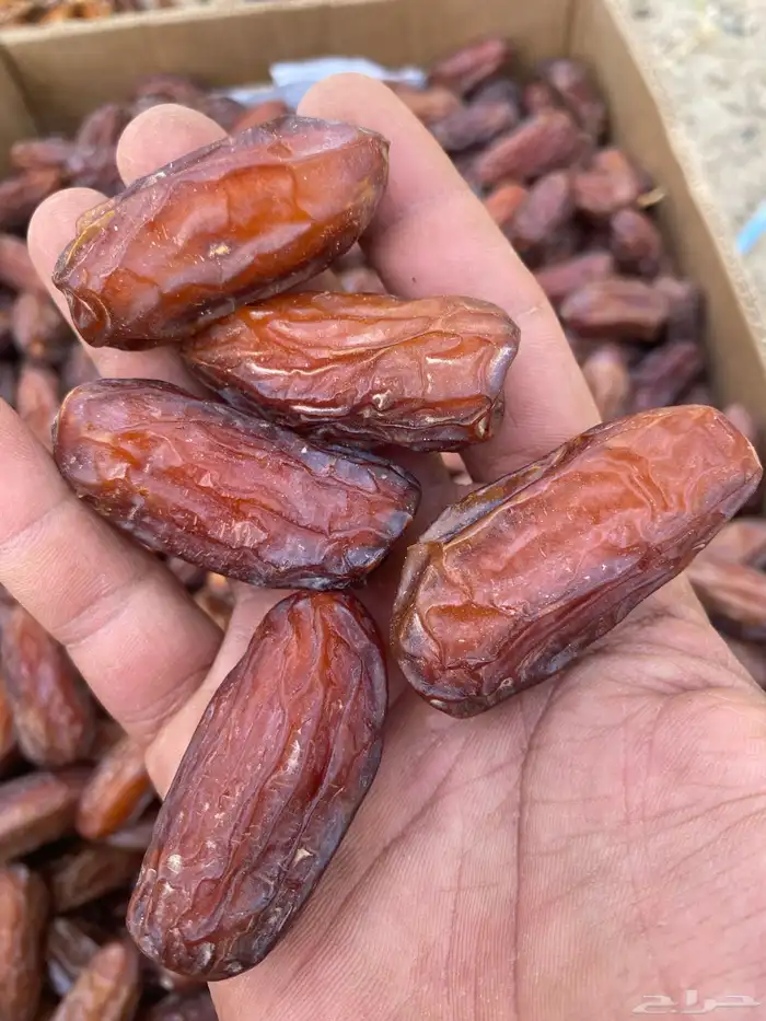 صافي اشعل حبه كبير 0