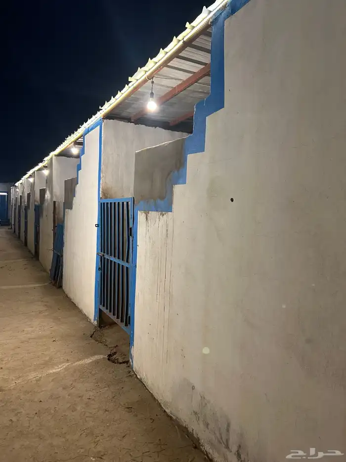 مربط متوفر ايواء خيل 6