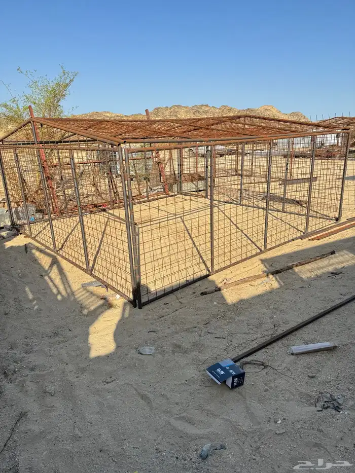 شبوك ابل و أغنام 6