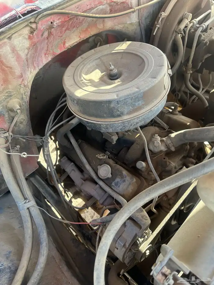 جمس وايت 81 5