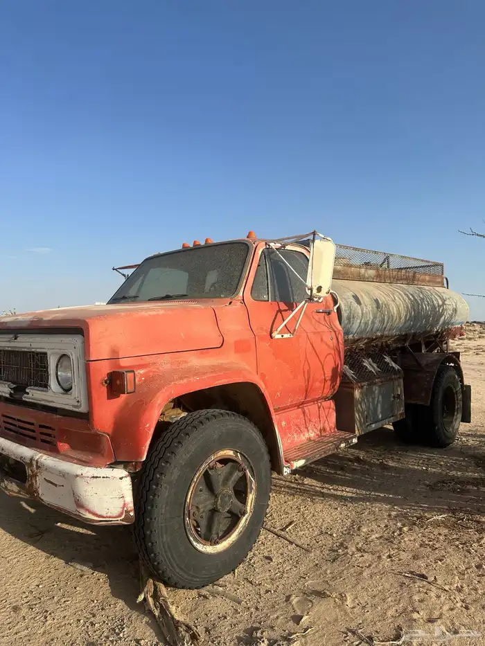 جمس وايت 81 4