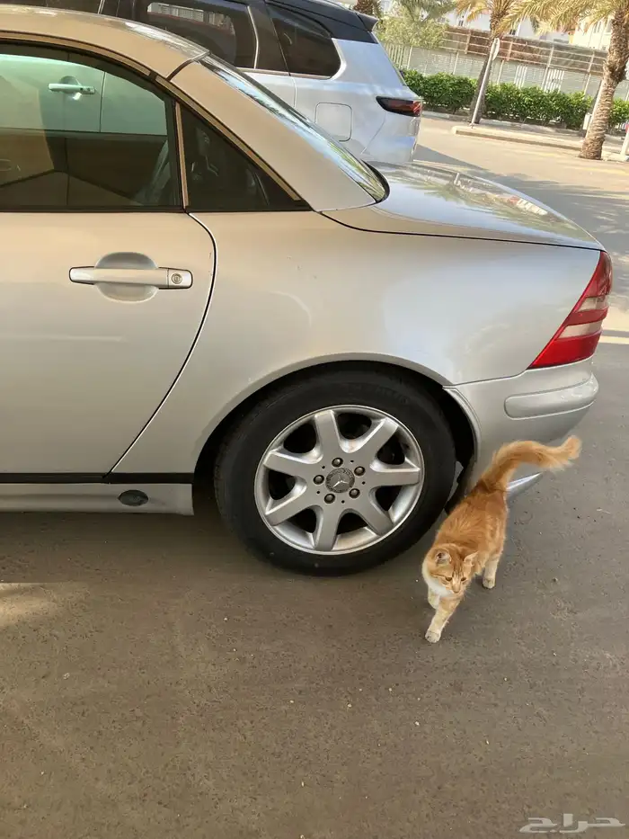Mercedes SLK230 Kopressor مرسيدس اس ال كيه230 كومبرسور 2