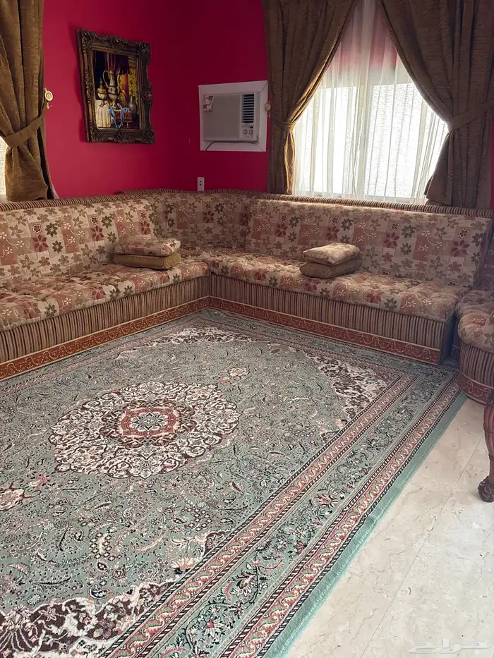 حائل الجامعيين 0