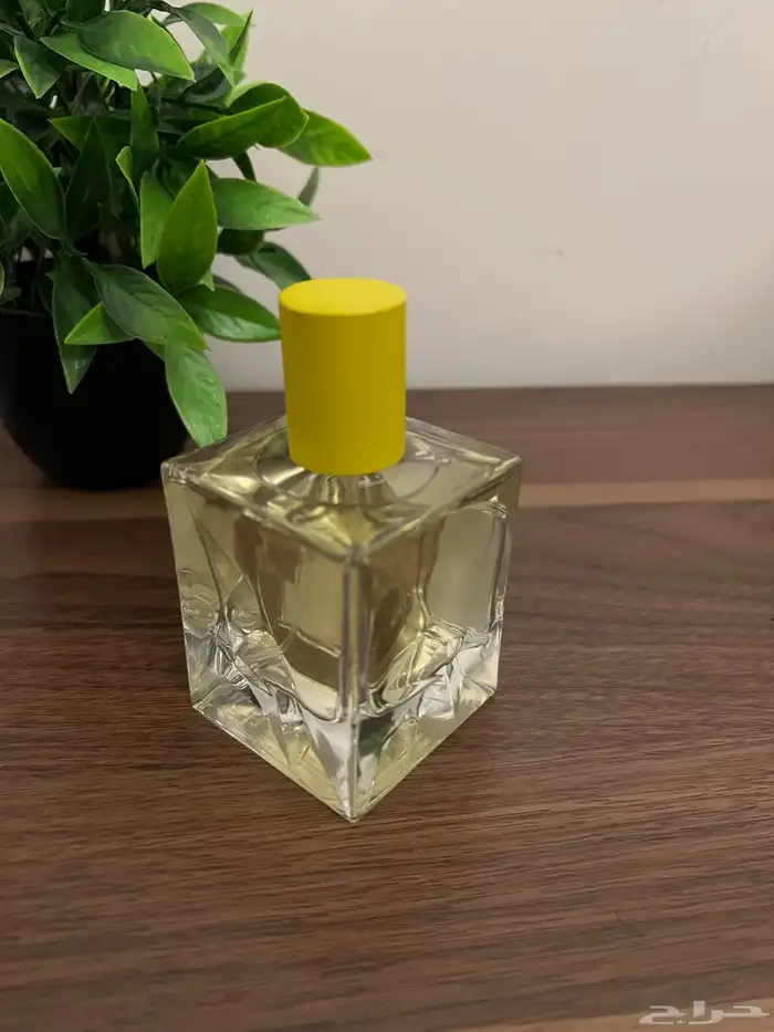 علب عطور فارغة بسعر اقل من سعر الجملة 0