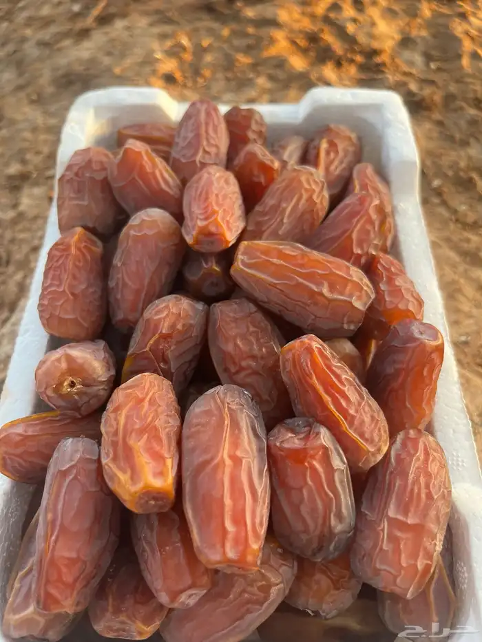تمر برني العلا فاخر نفس الصوره 3