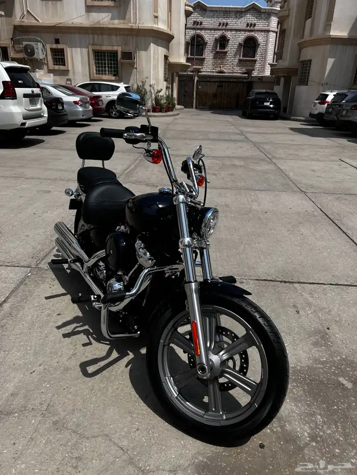 Selling HARLEY DAVIDSON SOFTAIL STANDARD FXST 2023 1