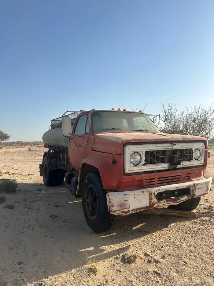 جمس وايت 81 3