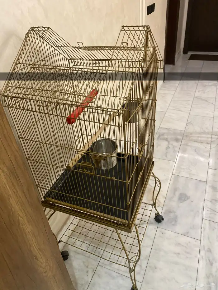قفص ببغاء كبير 1