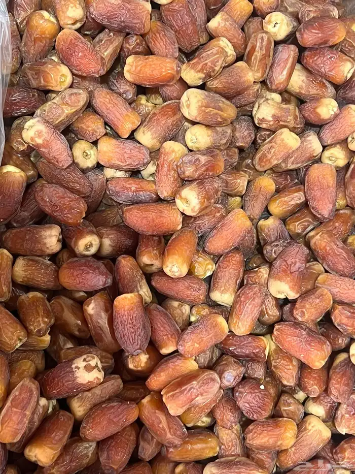 صقعي اليوم وصل حياكم الله 0