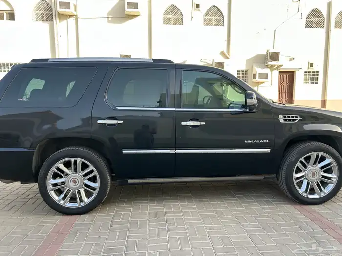 اسكاليد 2011 بلاتينيوم 5