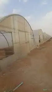 مشروع بيوت محمية للإستثمار 0
