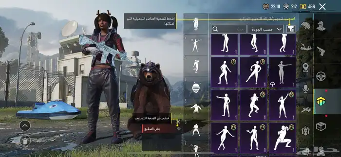 حساب ببجي ممتاز 17