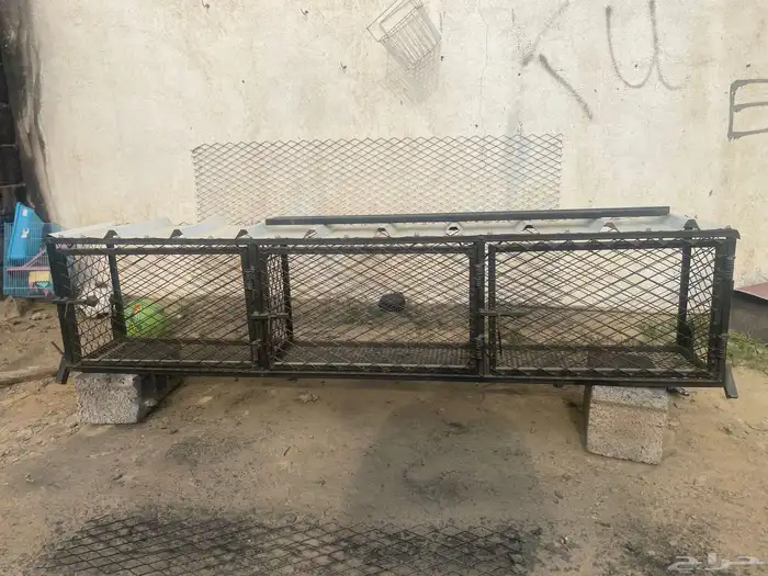 محاكر لصيصان الدجاج والحمام ثلاث فتحات 0