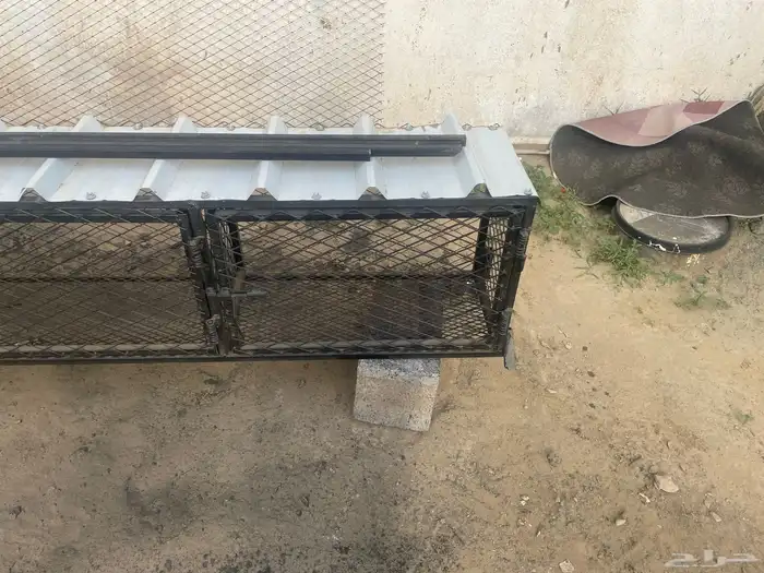 محاكر لصيصان الدجاج والحمام ثلاث فتحات 1